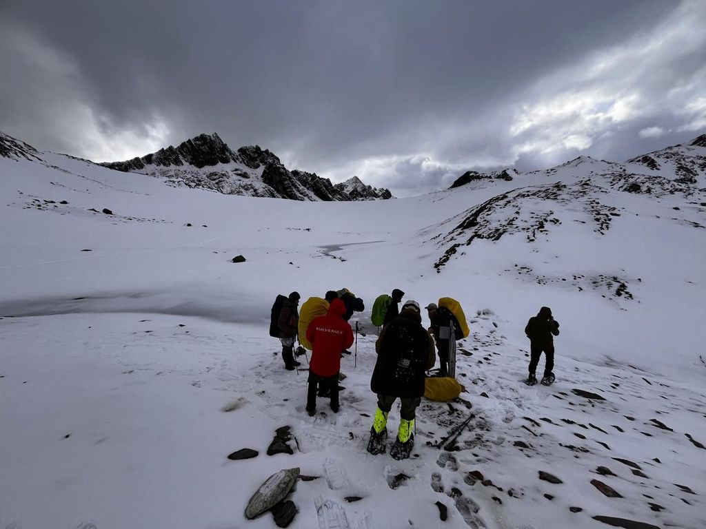 navarinodientes navarinodientes