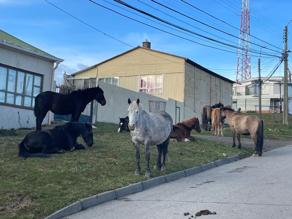 Imagen de WhatsApp 2024-09-16 a las 09 Imagen de WhatsApp 2024-09-16 a las 09