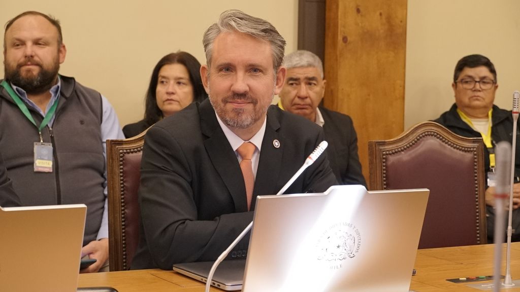 Diputado Riquelme