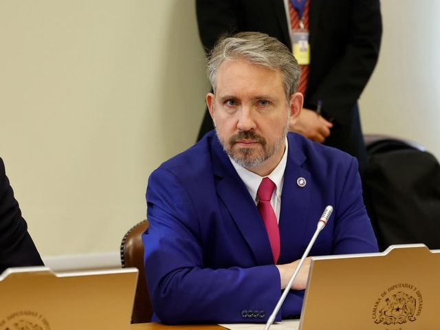 diputadoriquelme