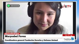 derechaydefensaanimal derechaydefensaanimal