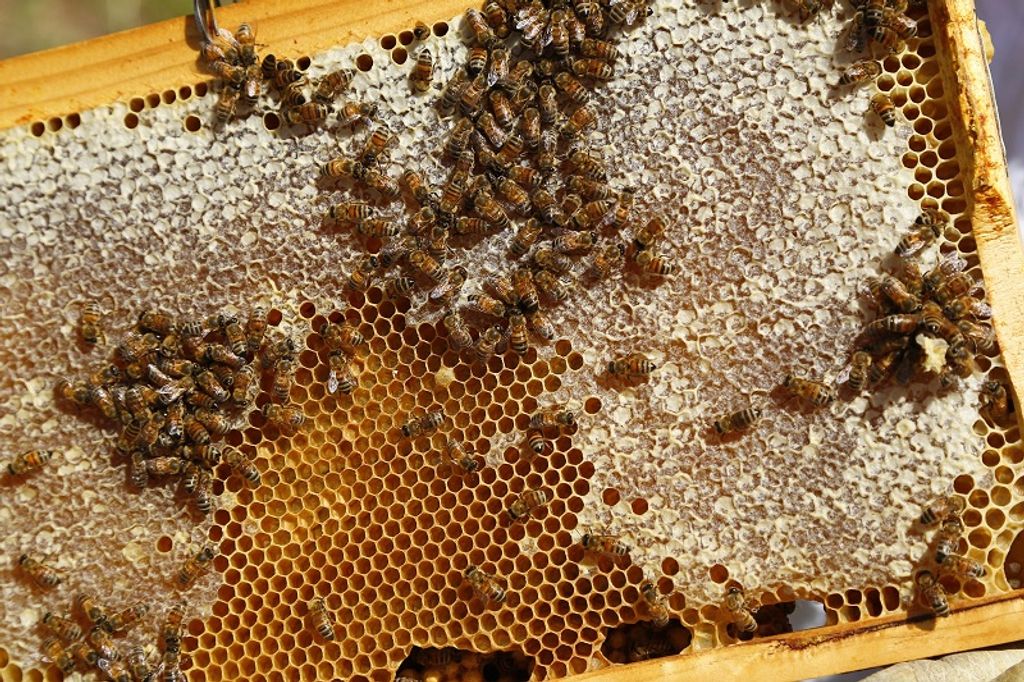 Foto archivo SAG3 Foto archivo SAG3