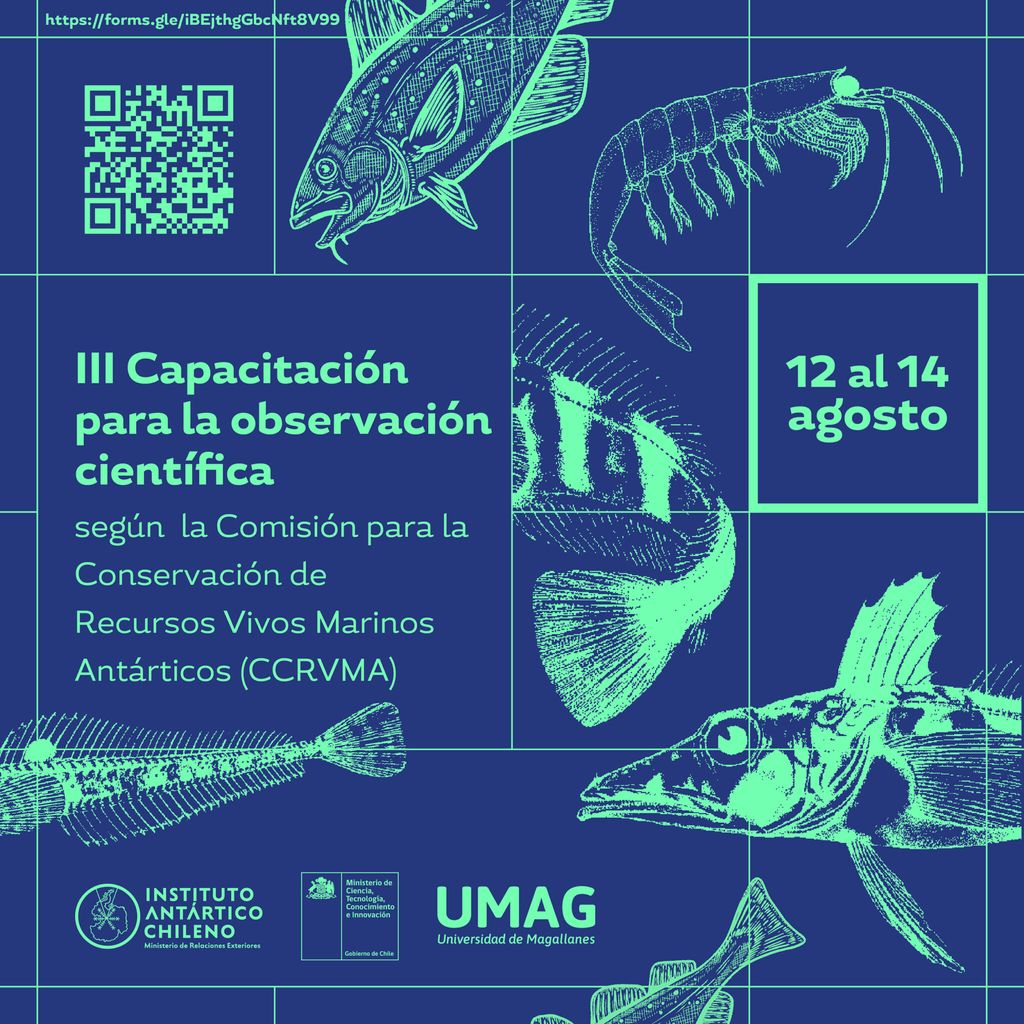 III Capacitación observadores III Capacitación observadores