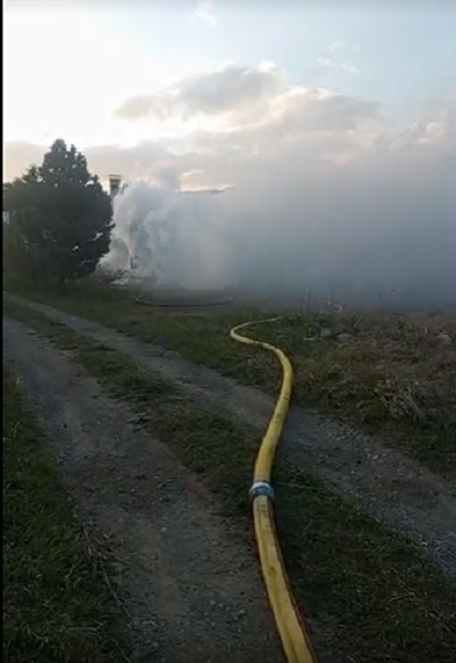 Sin título Sin título