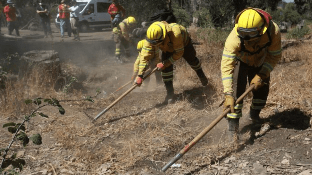 Captura-de-pantalla-2024-11-20-a-las-12 Captura-de-pantalla-2024-11-20-a-las-12