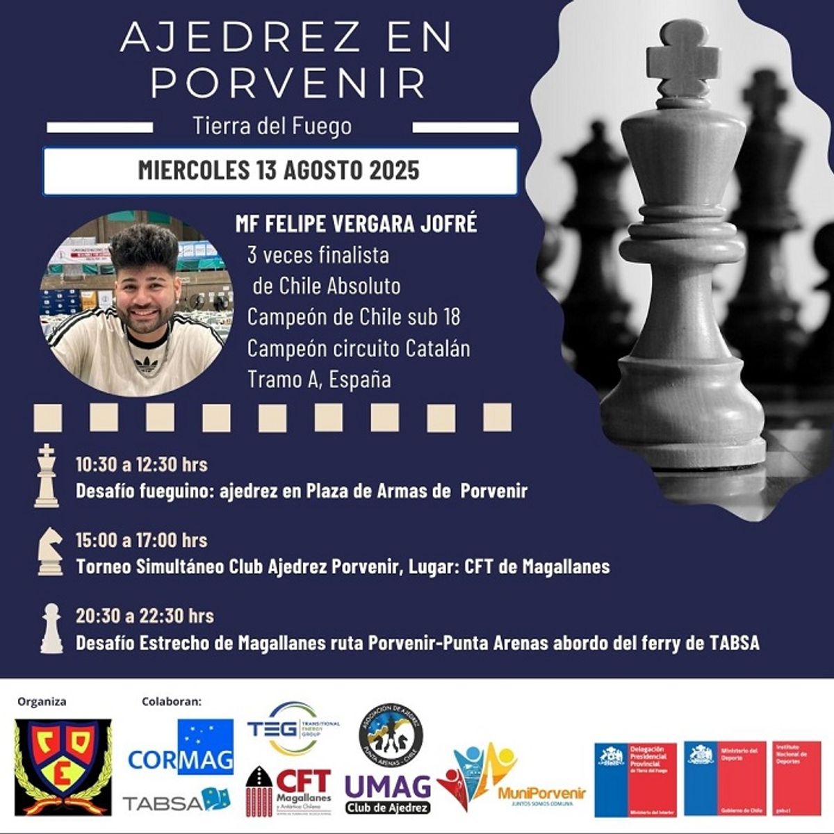 Afiche Ajedrez Porvenir