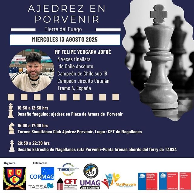 Afiche Ajedrez Porvenir
