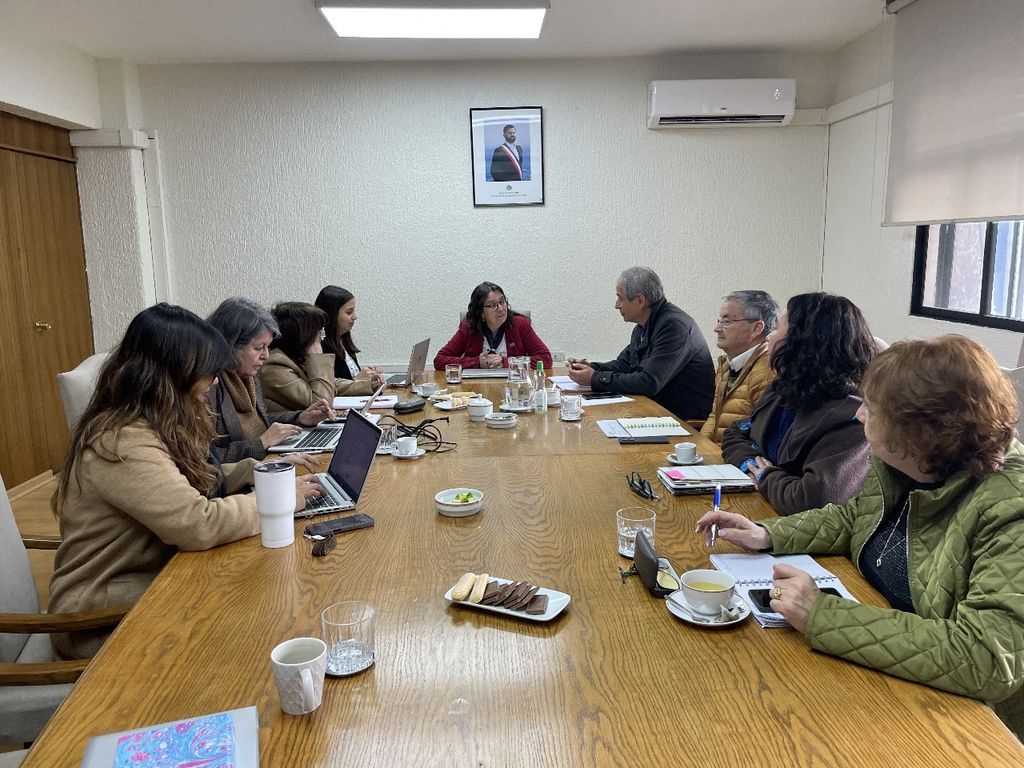 Ministra (s)