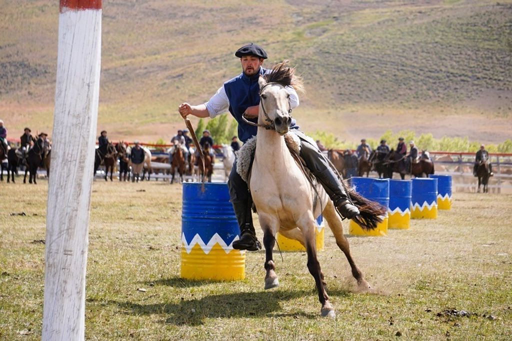 WhatsApp Image 2025-02-03 at 17 WhatsApp Image 2025-02-03 at 17