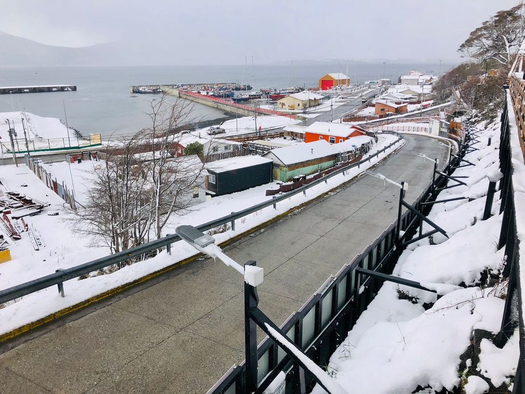 williamsprimavera williamsprimavera