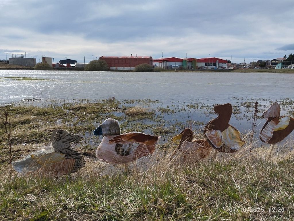 Imagen de WhatsApp 2025-11-26 a las 19