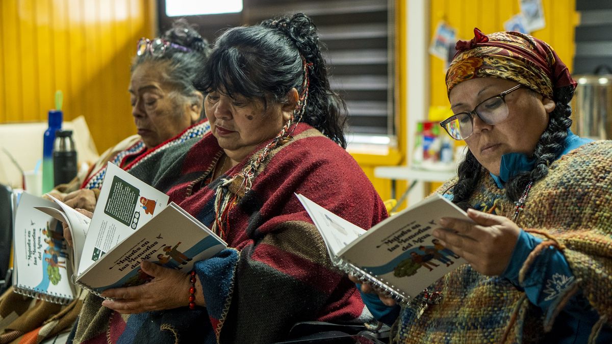 MUJERES DE PUEBLOS ORIGINARIOS LIDERAN MONITOREO BIOCULTURAL PARA DEFENDER EL MAR EN MAGALLANES Y CHILE