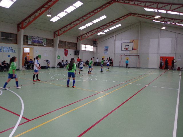 gimnasioslep