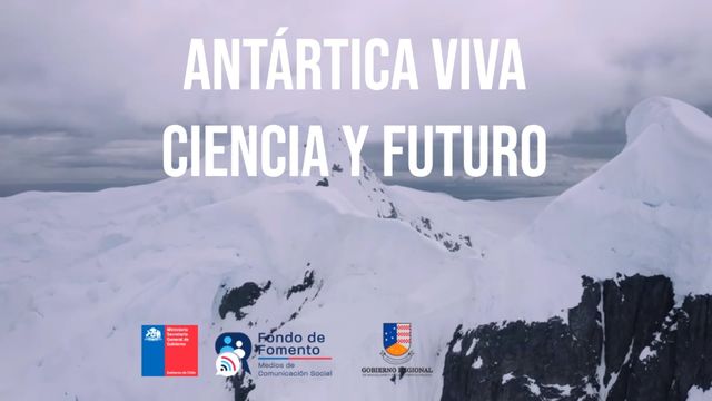 ANTARTICAFONDODEMEDIOS ANTARTICAFONDODEMEDIOS