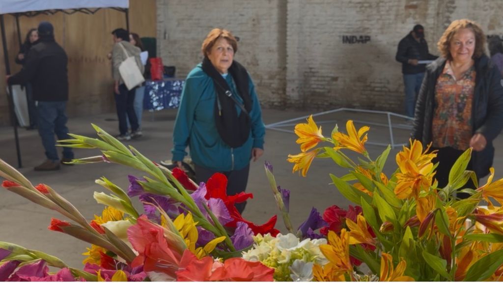 mercado campesino indap mercado campesino indap