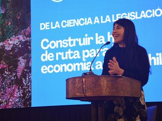 gobiernokastsalmon