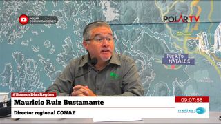 dirconafmagallanes dirconafmagallanes