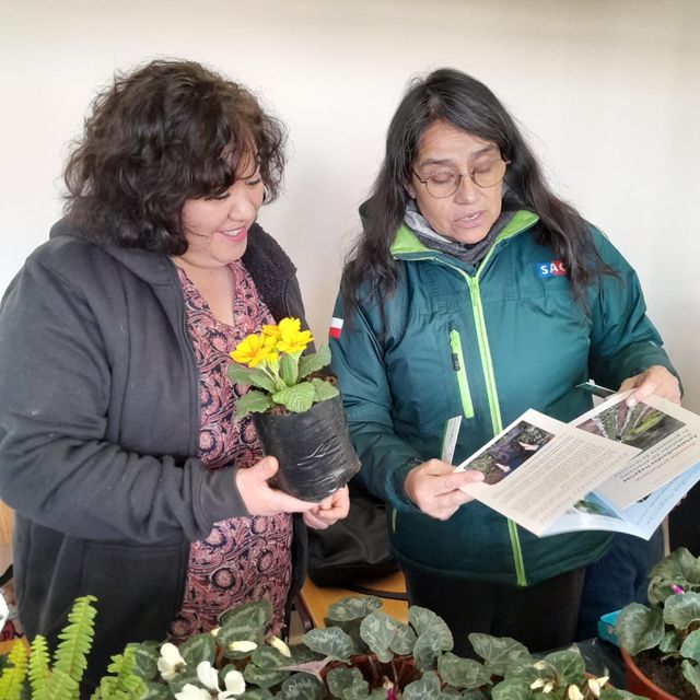 expo invierno expo invierno