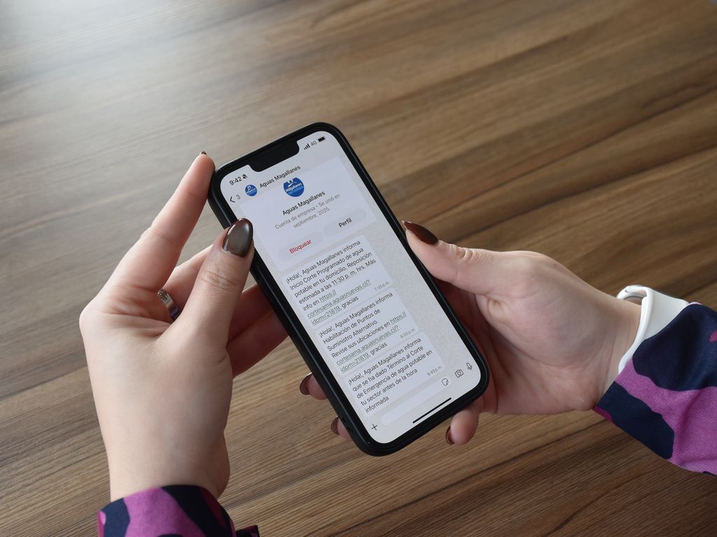 aguasmagallaneswpp aguasmagallaneswpp