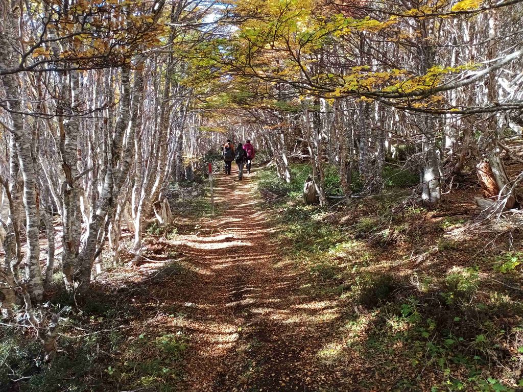 Reserva Nacional Magallanes 2024 Reserva Nacional Magallanes 2024