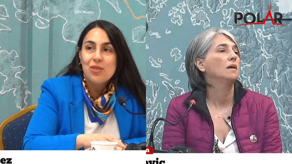 austrochile austrochile