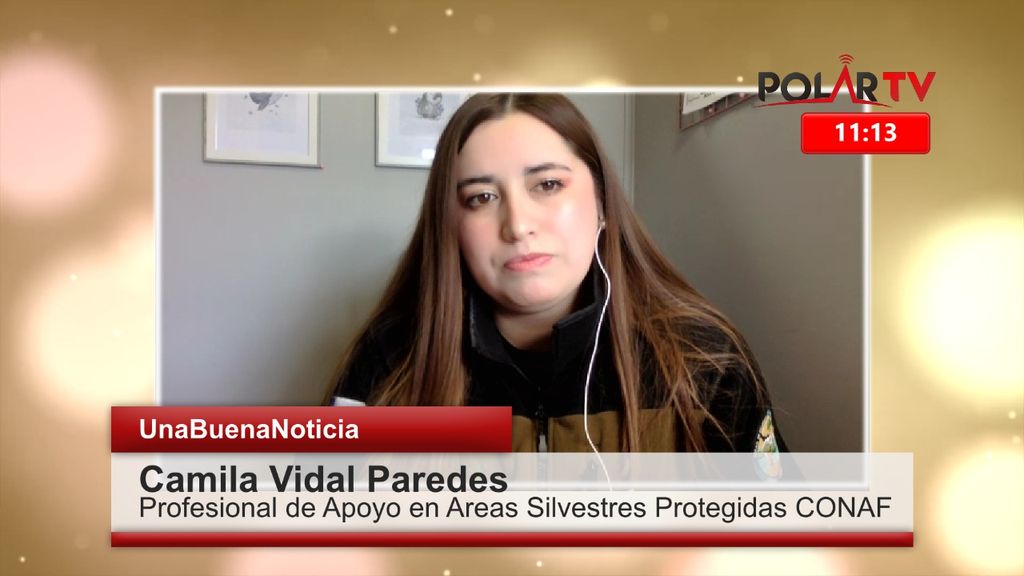 CAMILA VIDAL CAMILA VIDAL