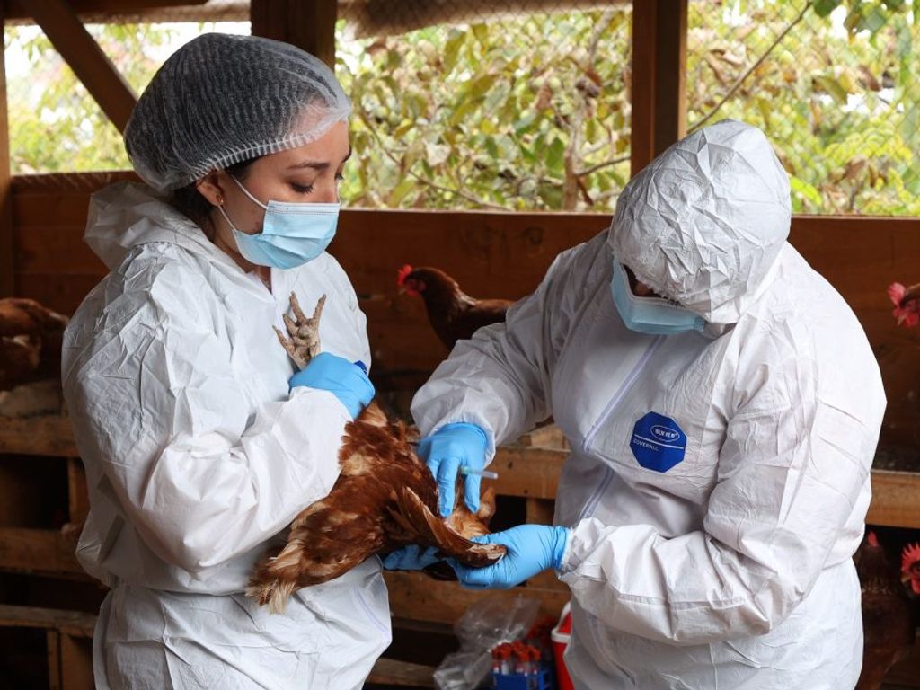 Foto-archivo-1-13-1024x682