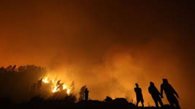 Incendios Bio Bio y Ñuble_Chile Incendios Bio Bio y Ñuble_Chile