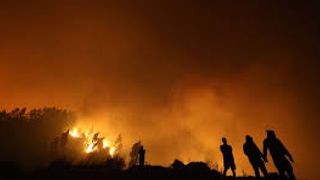 Incendios Bio Bio y Ñuble_Chile Incendios Bio Bio y Ñuble_Chile