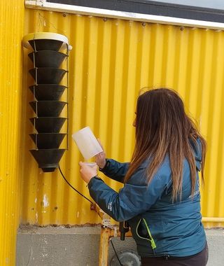 trampa vigilancia DPAFS