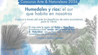 Concurso Arte & Naturaleza (4) Concurso Arte & Naturaleza (4)