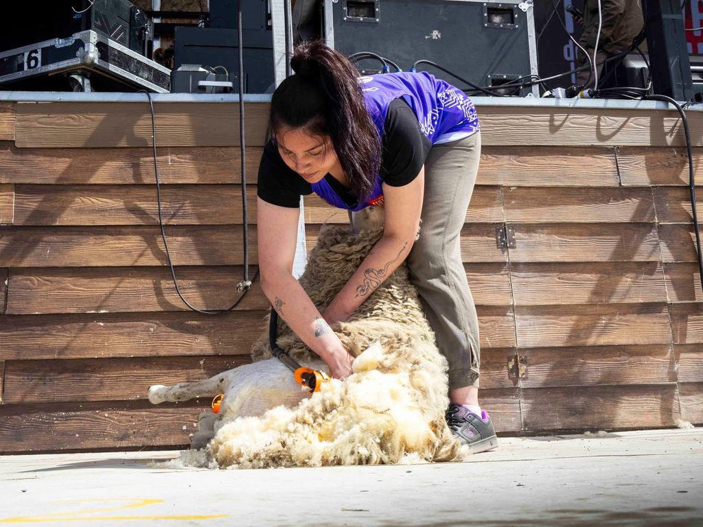 esquilalagunablanca2026