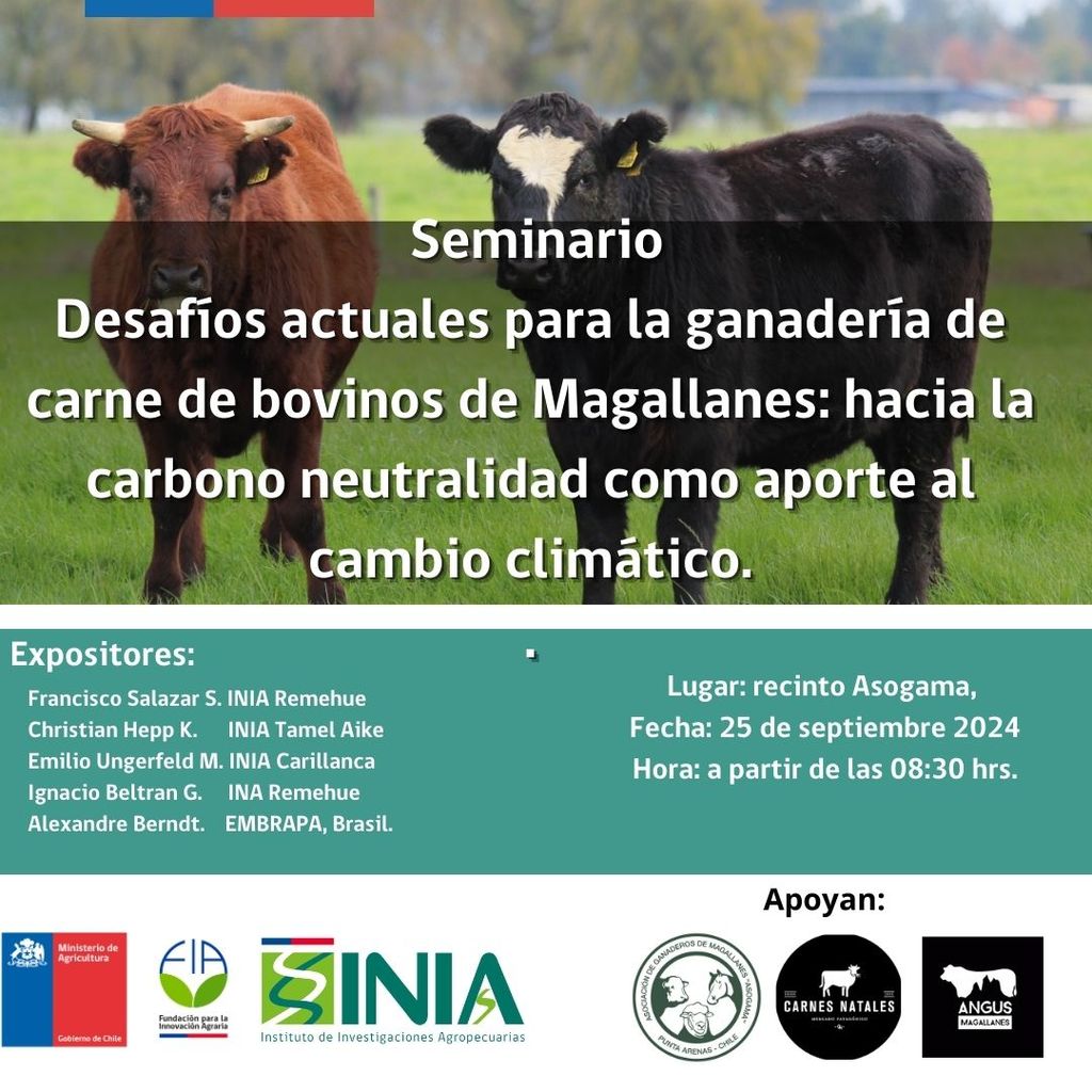 Seminario Magallanes Seminario Magallanes