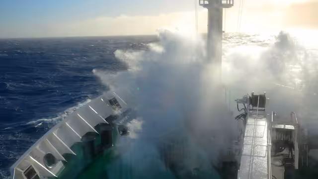 mardedrake mardedrake