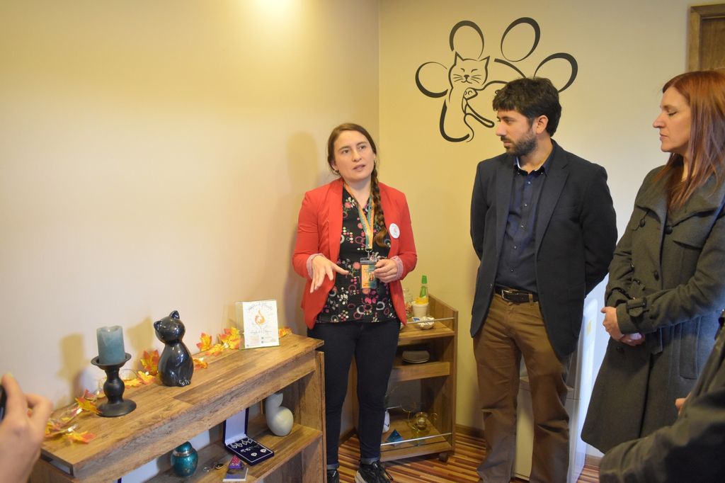 mascotas 4 mascotas 4