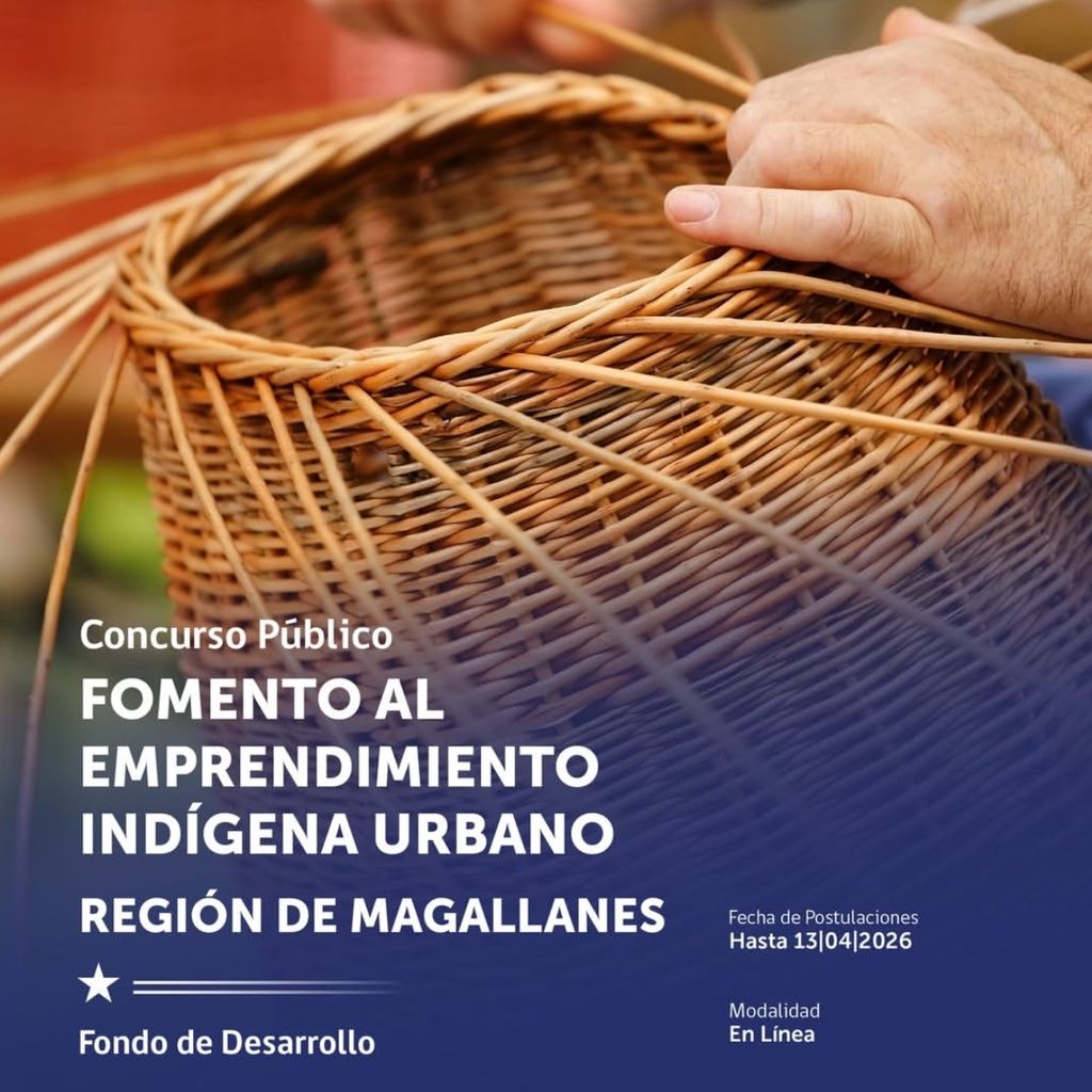 conadiconcursomagallanes conadiconcursomagallanes