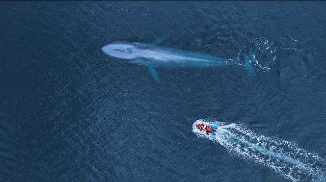 Campaña_04 Campaña_04