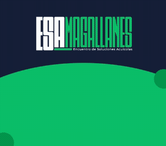 Banner Polar