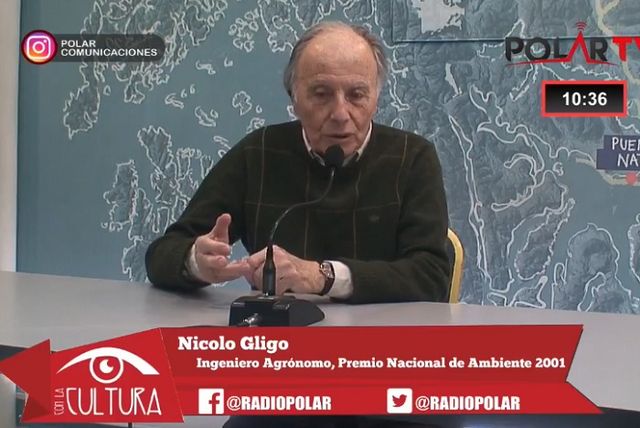 gligo