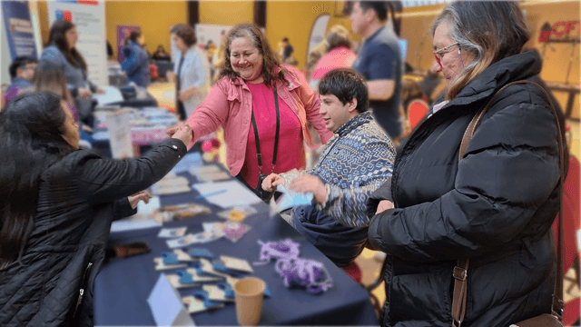 festnoviolencia festnoviolencia