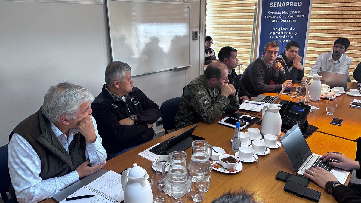 Cogrid act 3 Cogrid act 3