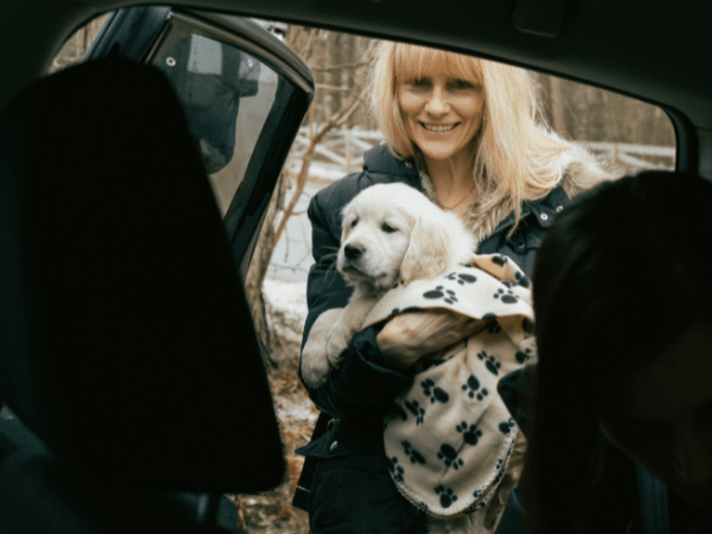 uberpetspuq uberpetspuq