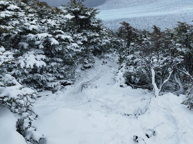 sector nevado PNTP 26-03-2026