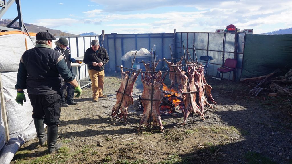 WhatsApp Image 2024-09-02 at 11 WhatsApp Image 2024-09-02 at 11