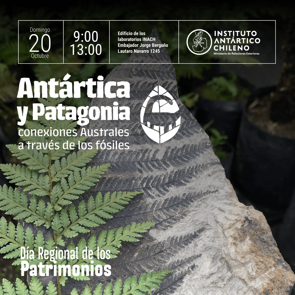 redes-fosiles redes-fosiles