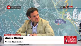 andromimica andromimica