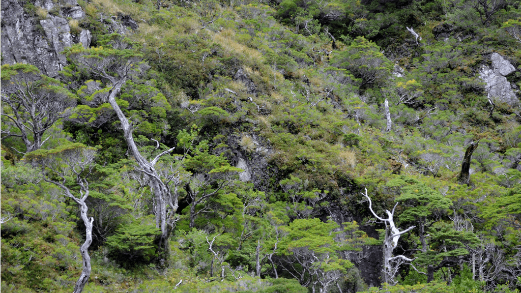 pn-kawesqar-1536x864