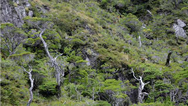 pn-kawesqar-1536x864