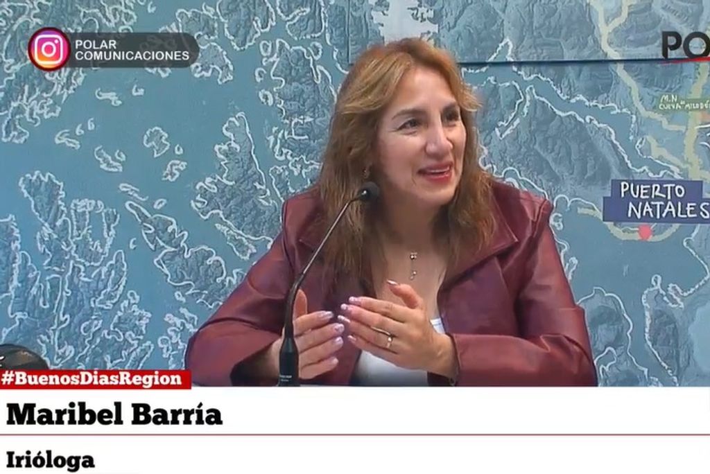 mbarria mbarria