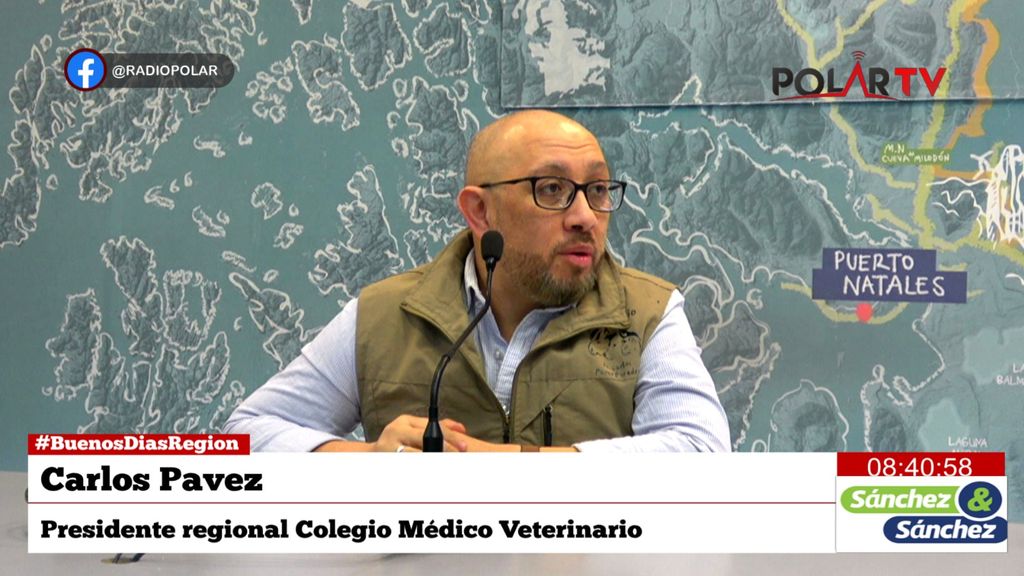 colmevetmagallanes